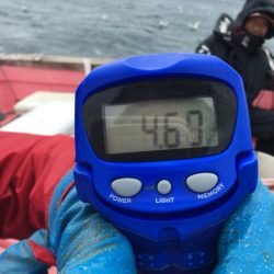 第八平成丸 釣果