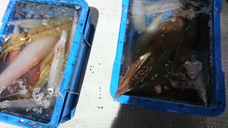 海龍丸（福岡） 釣果