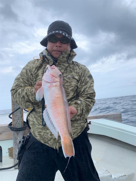 マタウマリンサービス 釣果