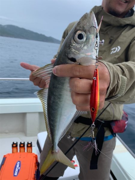 マタウマリンサービス 釣果