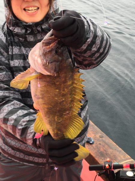 第八平成丸 釣果