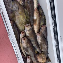 第八平成丸 釣果