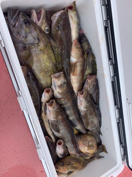 第八平成丸 釣果