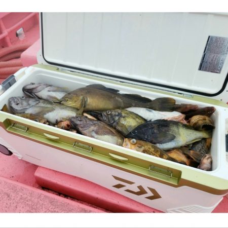 第八平成丸 釣果