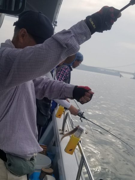 内浜丸 釣果