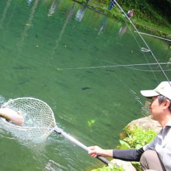 小菅トラウトガーデン 釣果