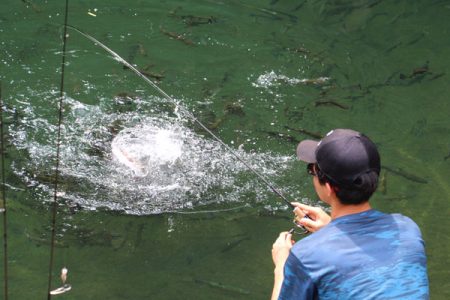 小菅トラウトガーデン 釣果