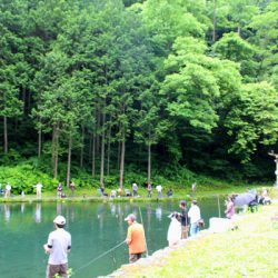 小菅トラウトガーデン 釣果