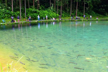 小菅トラウトガーデン 釣果