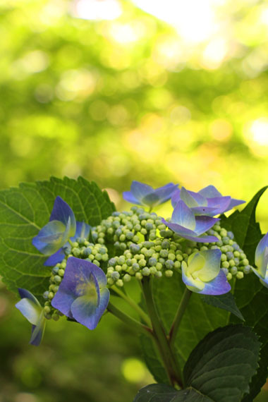 小菅トラウトガーデン 釣果