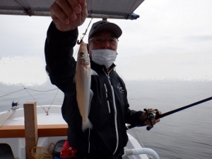 遊漁船 幸友丸 釣果