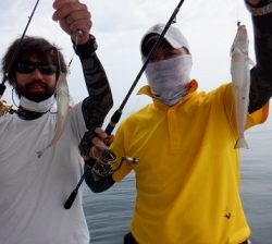 遊漁船 幸友丸 釣果