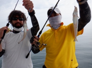 遊漁船 幸友丸 釣果