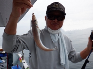 遊漁船 幸友丸 釣果