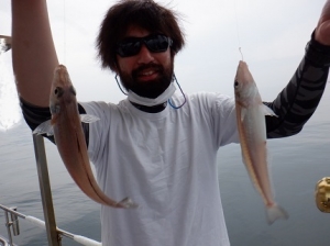 遊漁船 幸友丸 釣果