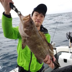 ブルーピア 釣果