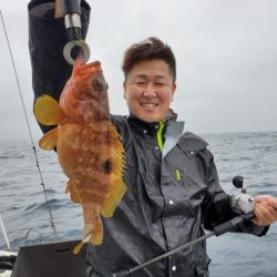 ブルーピア 釣果