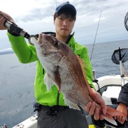 ブルーピア 釣果