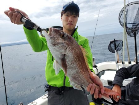 ブルーピア 釣果