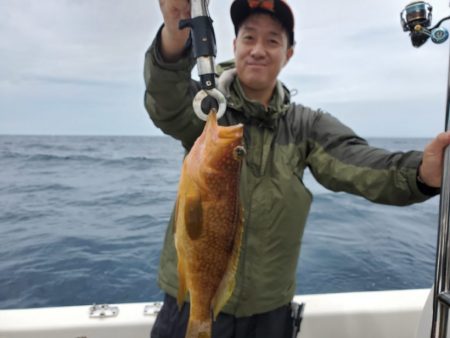 ブルーピア 釣果