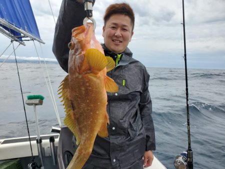 ブルーピア 釣果