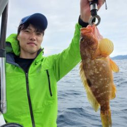 ブルーピア 釣果