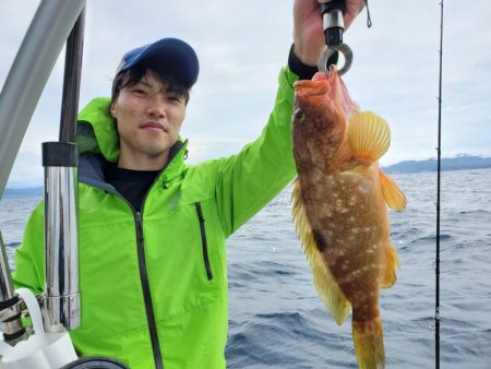 ブルーピア 釣果