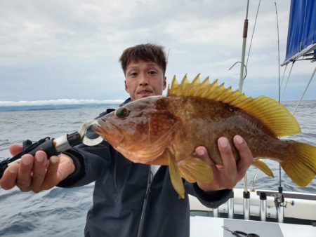 ブルーピア 釣果