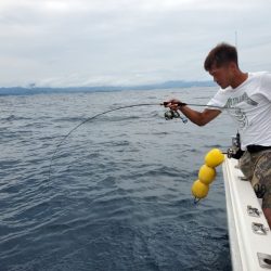 ブルーピア 釣果