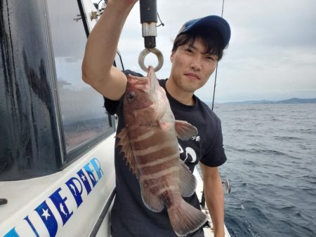 ブルーピア 釣果