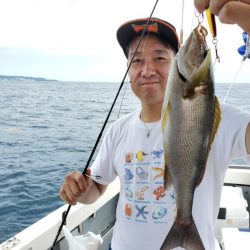 ブルーピア 釣果