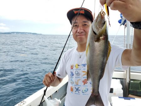 ブルーピア 釣果