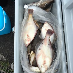 第八平成丸 釣果