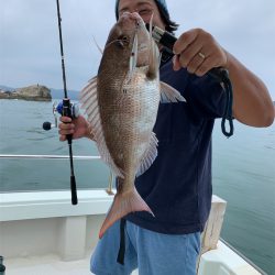 マタウマリンサービス 釣果