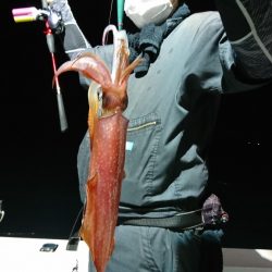 海龍丸（福岡） 釣果