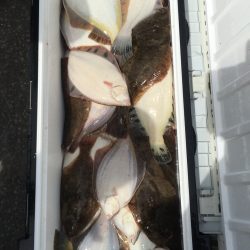 第八平成丸 釣果