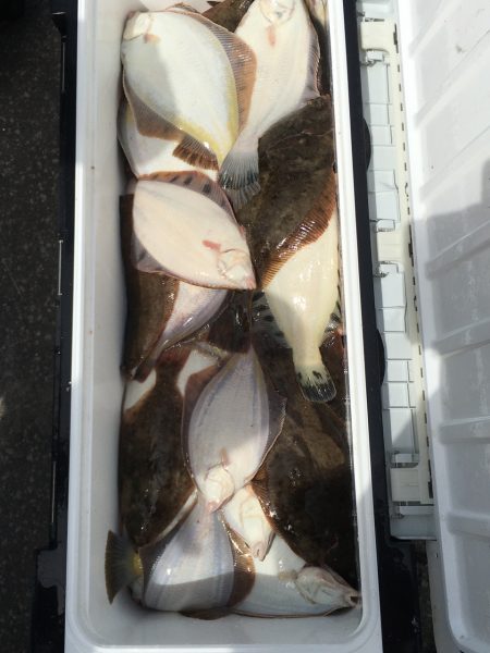 第八平成丸 釣果