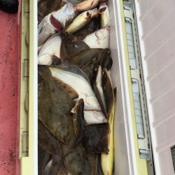 第八平成丸 釣果