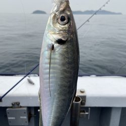 夢丸 釣果