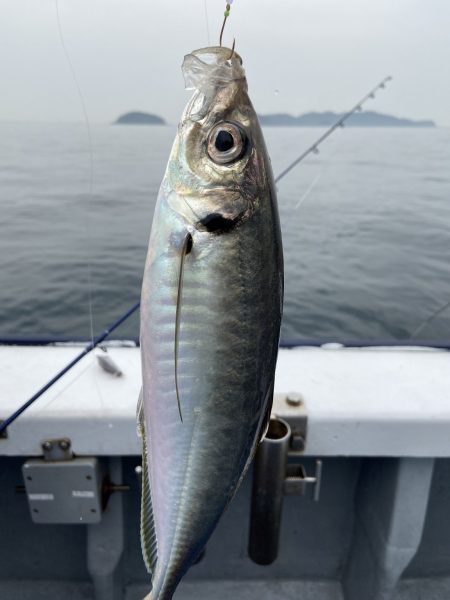 夢丸 釣果
