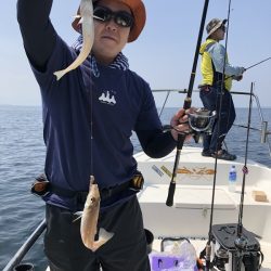 Magic（マジック） 釣果