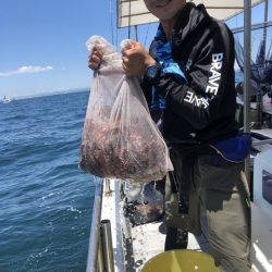 たかみ丸 釣果