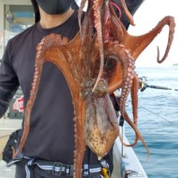 遊漁船 ニライカナイ 釣果