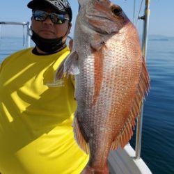 遊漁船 ニライカナイ 釣果