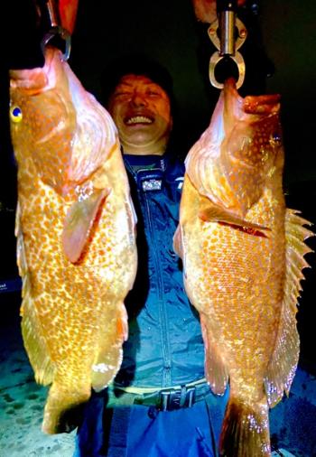 シーマジカル 釣果