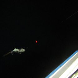 ジギング船 BLUEWATER 釣果