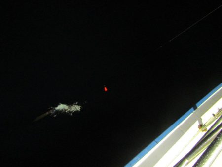 ジギング船 BLUEWATER 釣果