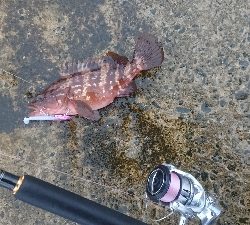 コンディション悪い中