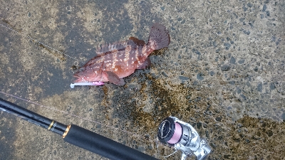 コンディション悪い中