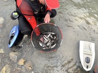 秩父フライフィールド 釣果
